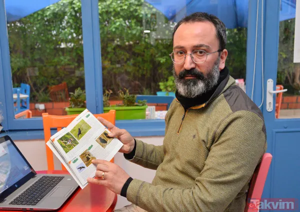 SON DAKİKA! Antalya'da CHP'li belediyeden deniz yaşamını bitirecek proje! Pavyona benzetildi - 14