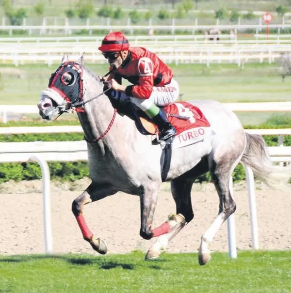 Türkiye Diyanet Vakfı heyetinin de kaldığı otelde patlama: 4 ölü (Güncel haberler)-10