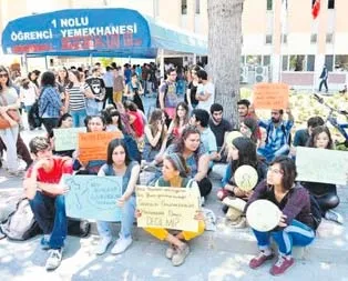 Üniversitede köpek katliamı