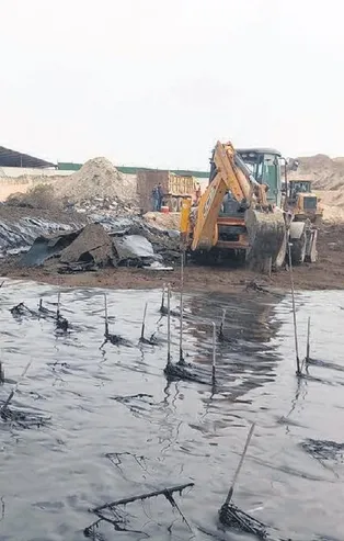 Edirne'de çevre katliamına yol açan şantiyede belediye ihmali: Başkana şikayet ettik 'bir şey olmaz' dedi