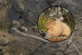 Burdur'daki kazı çalışması tüyler ürpertti: İnsan kemikleri ortaya çıktı