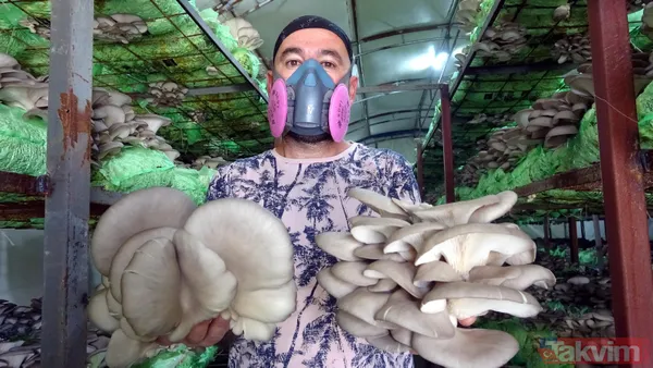 Emekli astsubay hobi olarak başladığı istiridye mantarı yetiştiriciliğinden yılda 520 bin lira kazanıyor - 1