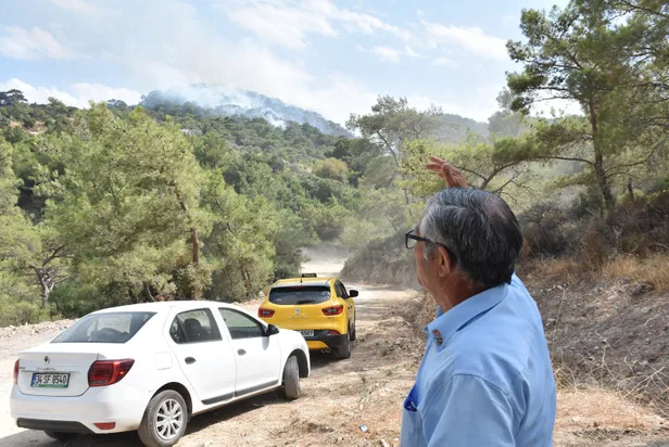 Son dakika haberi: Bodrum'da orman yangını-3