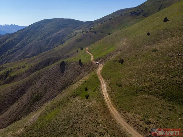 Tunceli'de sürü sahipleri 2 bin 500 metre rakımlı yaylada aşılandı - 8