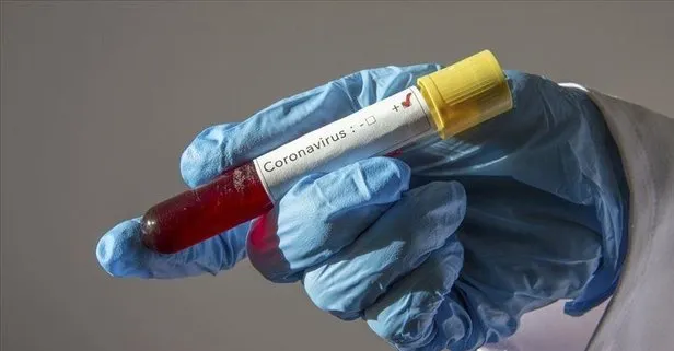 Coronavirüsle Kovid-19 mücadelede 2 hafta çok kritik