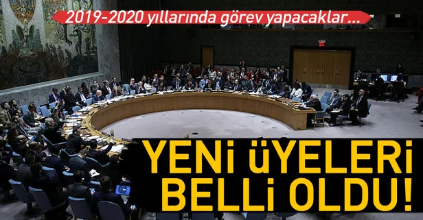 BM Güvenlik Konseyi'ne yeni üyeler seçildi