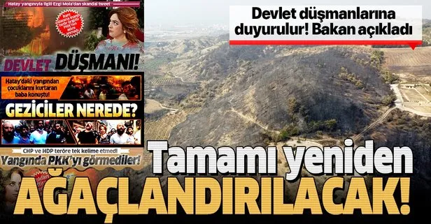 Son dakika: Bakan Pakdemirli’den ’Hatay’ açıklaması: Tamamı yeniden ağaçlandırılacaktır