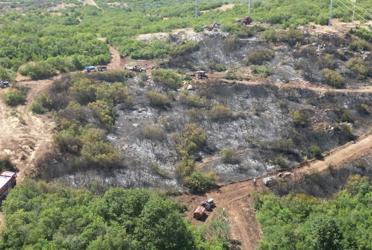 Bursa’daki orman yangınında flaş gelişme!
