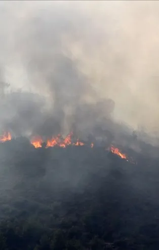 Mersin'de orman yangını!