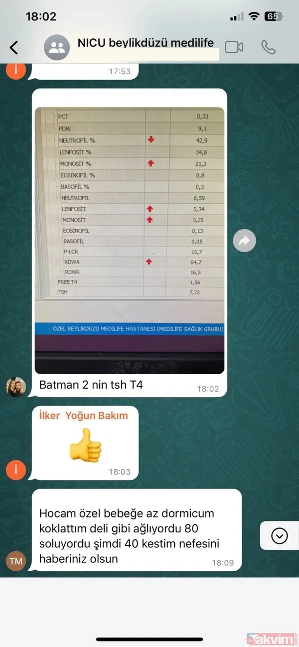 Yenidoğan Çetesi hakkında sarsıcı iddia! Yazışmalar ifşalandı! Ağlayan bebeğe uyuşturucu mu verdiler? - 8