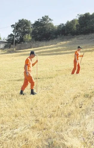 5 telefona el konuldu