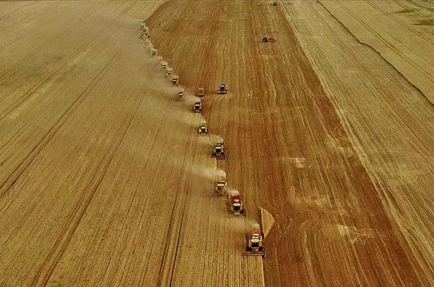 Türkiye'de tarım haritası değişiyor! Adana'da avokado, Antalya'da pepino...