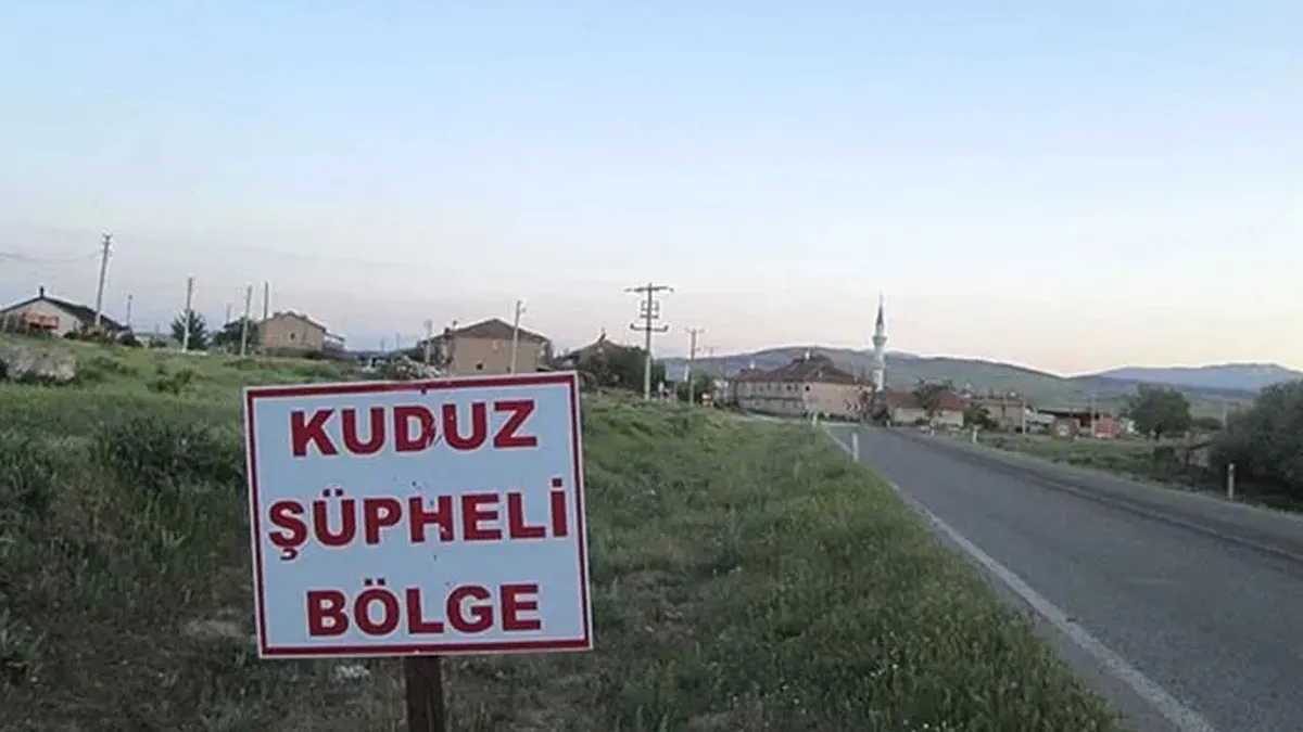 ardahanda-kuduz-sigir-alarmi-hayvan-itlaf-edildi-bolge-karantinada-1787039498039.jpeg Ardahan'da kuduz sığır alarmı: Hayvan itlaf edildi bölge karantinada-3