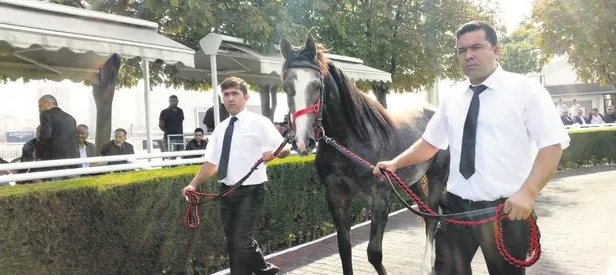 Ateş parçası