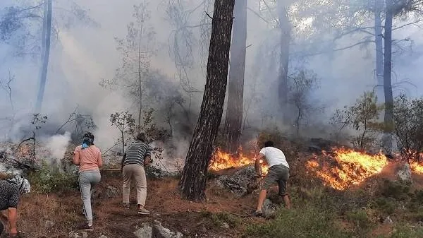 Orman yangınları söndürüldü mü? Orman yangınlarında son dakika gelişmeler neler? Hangi illerde devam ediyor?-3
