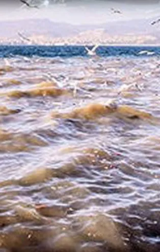 CHP’li belediyenin çevre felaketi A Haber’de