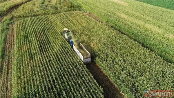Tarım ve Orman Bakanlığı 200 PERSONEL ALIMI: Sözleşmeli personel alımı başvurusu ne zaman, nasıl, hangi branşlarda yapılacak? - 3