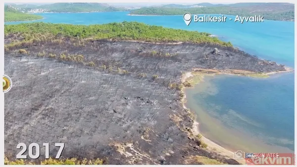 Orman Genel Müdürlüğü paylaştı! İşte yanan ormanların eski ve yeni hali: İzmir, Muğla, Çanakkale ve Balıkesir... - 11