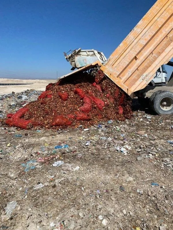 aksarayda-40-ton-kuru-sogan-bos-arazilere-dokuldu-valilik-suc-duyurusunda-bulundu-1649523039981.jpeg Aksaray'da 40 ton kuru soğan boş arazilere döküldü! Valilik suç duyurusunda bulundu-2