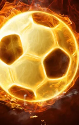 8 spor kulübü kapatıldı