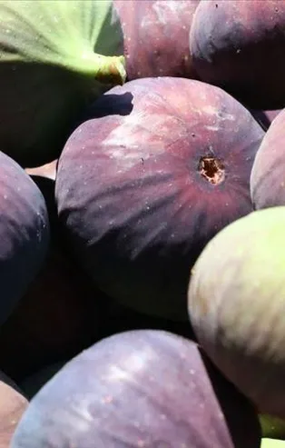 10 kat alan tasarrufu sağladı