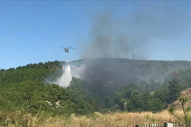 Çanakkale'de orman yangını