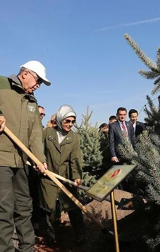Cumhuriyet tarihinin en çevreci hükümeti AK Parti!