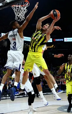Fenerbahçe finalde