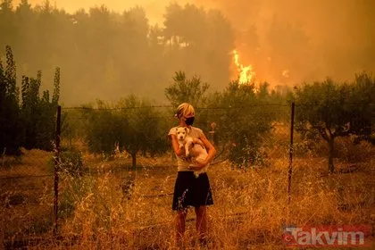 Yunanistan’daki orman yangınlarında korkunç bilanço! Felaketi yaşıyorlar