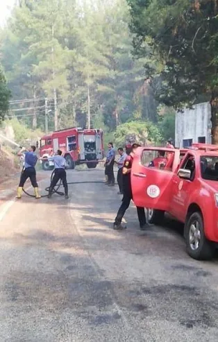 Yüzlerce Mehmetçik yangın bölgesinde! TSK'dan çalışmalara büyük destek