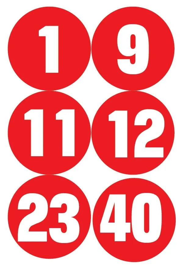 Hayvanları koruma derneğinde horoz dövüştürürken yakalandılar (Güncel haberler)-1