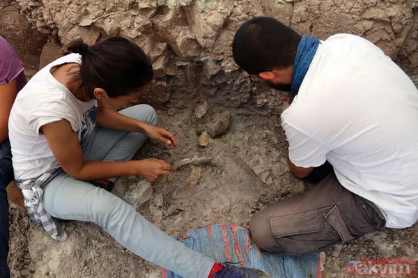 Çankırı'da 8,5 milyon yıllık fosil bulundu! - 22