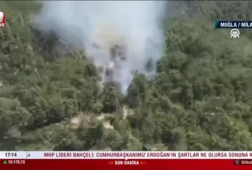 Milas'ta yangın!