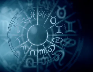 Duygusal konularda belirgin bir kişilik sergiliyorsunuz