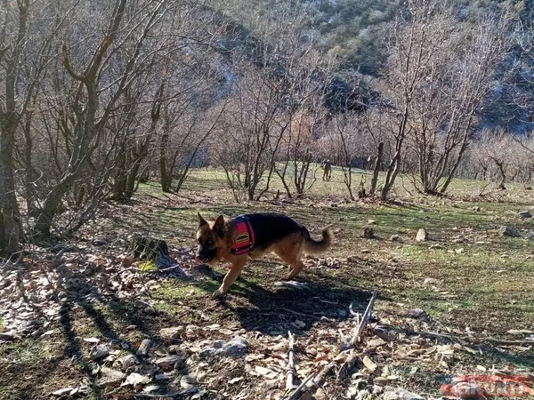 SON DAKİKA: Batman'da 620 personelin katılımıyla Eren Kış-14 Operasyonu başlatıldı - 13