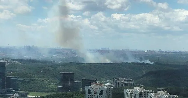 İstanbul’da ormanlık alanda yangın