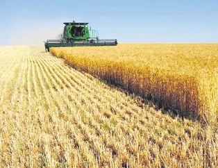 TMO oyunu bozdu çiftçi kazandı