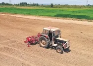 Sakarya’da endüstriyel kenevir üretimi başladı