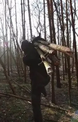 Birkaç kütükle nasıl ev inşa edilir?