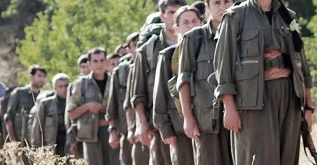 PKK’ya bir darbe daha