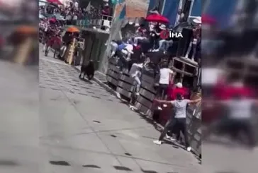 Meksika’da boğa koşusunda 20 kişi yaralandı