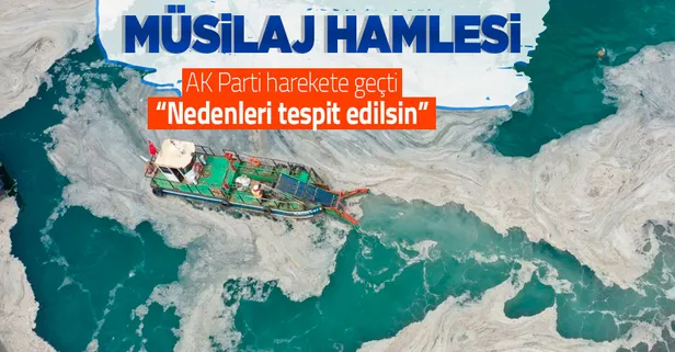Son dakika: AK Parti'den TBMM'ye 'Müsilaj - Deniz salyası' önergesi: Nedenleri tespit edilsin