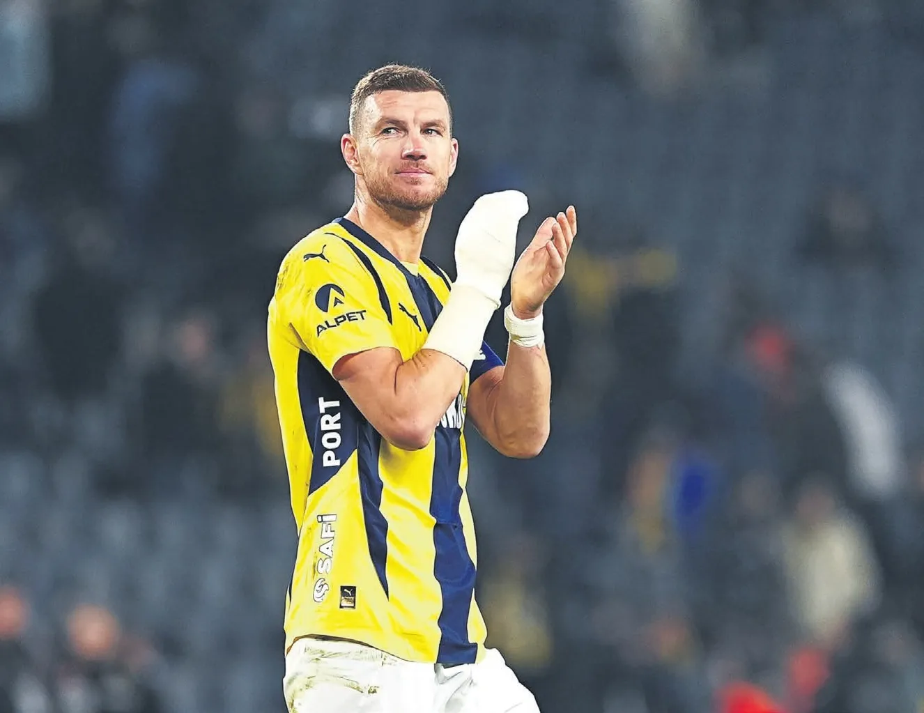 Dzeko ve Tadic veda etti!