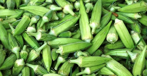 Bamya ülseri önler! İşte Bamyanın faydaları
