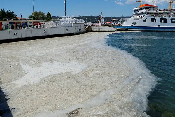 Marmara Denizi deniz salyası işgalinde! İşte müsilajdan kurtulmanın 4 maddelik reçetesi!-7