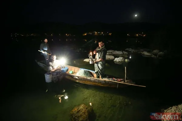 Günlük 900 lira kazanıyorlar! Türkiye'nin birçok ilinden toplanan kurbağalar Avrupa'ya ihraç ediliyor - 25