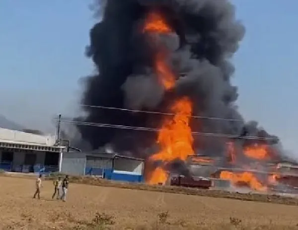 İzmir’de korkutan yangın!