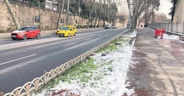 Çırağan’daki ağaç katliamına tepki