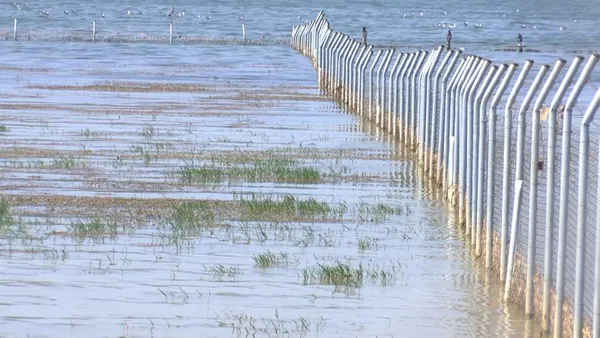 istanbuldaki-deniz-gol-ve-barajlarda-balik-ve-yengec-olumlerinin-nedeni-belli-oldu-kirlilik-oksijenin-azalmasi-1628238928123.jpg İstanbul'daki deniz göl ve barajlarda balık ve yengeç ölümlerinin nedeni belli oldu! Kirlilik-oksijenin azalması-6
