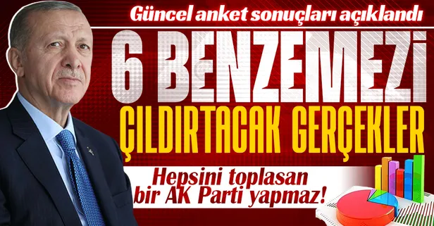 6 benzemezi ve gölge ortaklarını çıldırtacak anket sonuçları! AK Parti 10 günde bir 1 puanlık bir artış sağladı